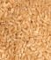 The Essence of Authenticity: Unveiling the Secret of MP Sihori Sharbati Wheat